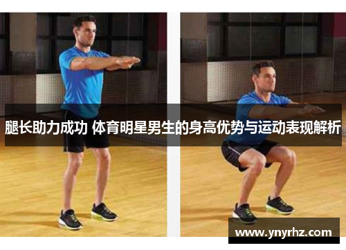 腿长助力成功 体育明星男生的身高优势与运动表现解析